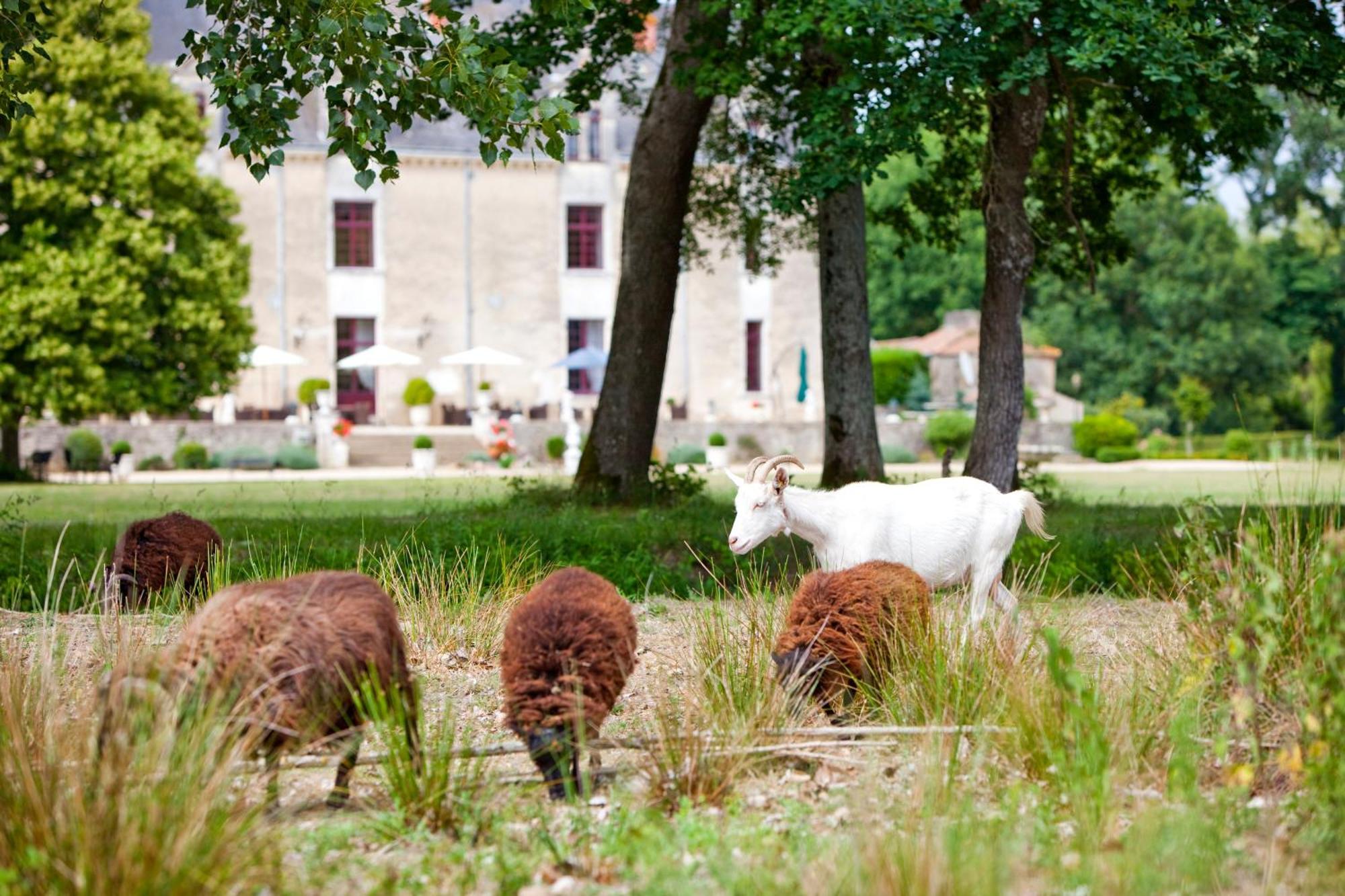 Chateau De La Verie Challans Εξωτερικό φωτογραφία