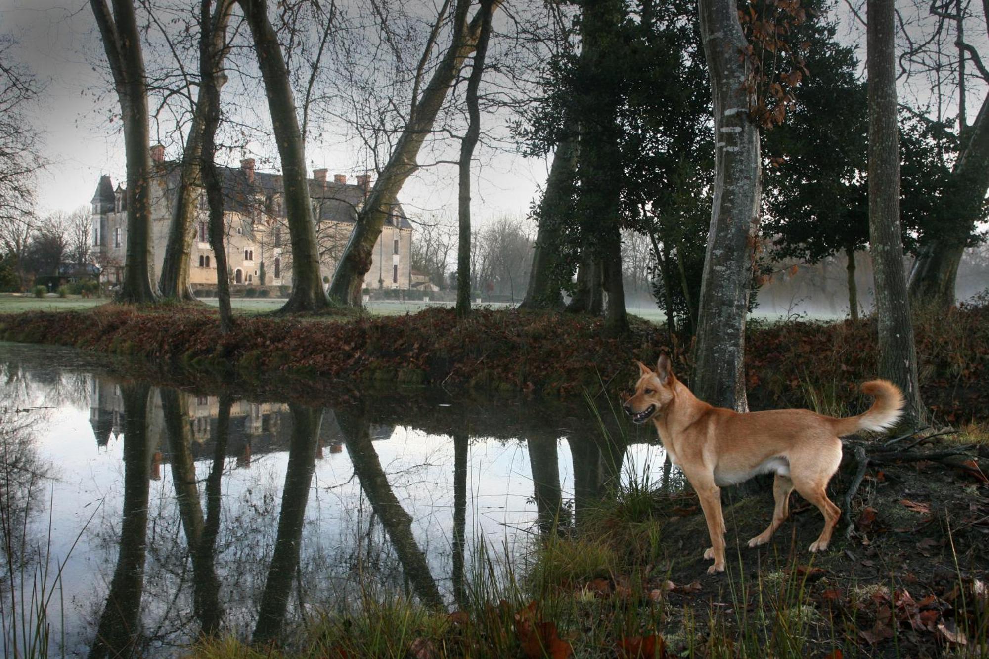 Chateau De La Verie Challans Εξωτερικό φωτογραφία